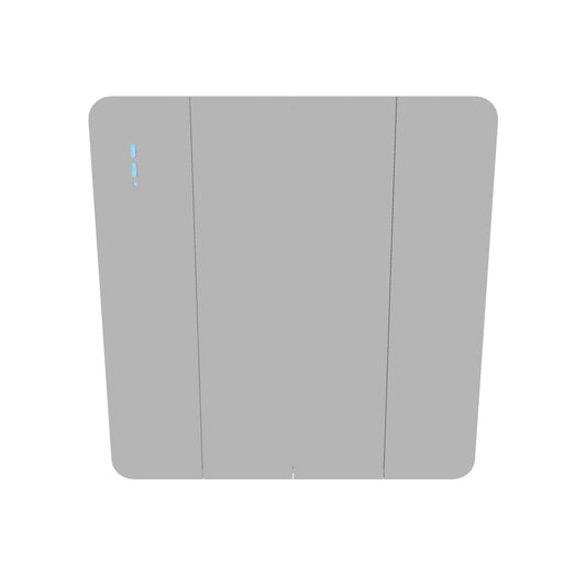 DavyMorgan DM1-4G1W-4G2W Switch-B&DG